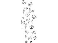 DSGN2740.jpg