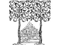 DSGN2848.jpg