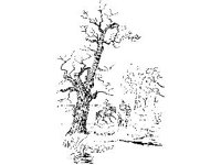 DSGN2721.jpg
