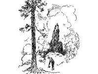 DSGN2704.jpg