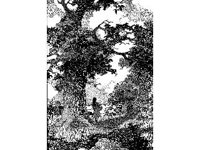 DSGN2701.jpg