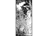 DSGN2698.jpg