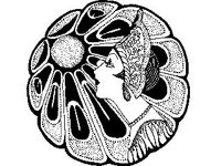 DSGN2988.jpg