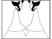 DSGN2967.jpg