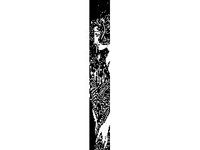 DSGN2941.jpg