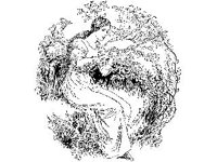 DSGN2937.jpg