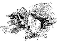 DSGN2897.jpg