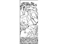 DSGN2891.jpg