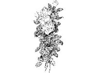 DSGN2881.jpg
