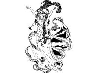 DSGN2877.jpg