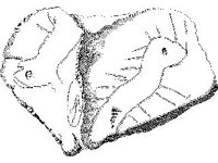 CVLZ3720.jpg