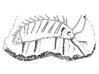 CVLZ3718.jpg