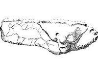 CVLZ3715.jpg
