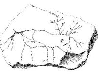 CVLZ3714.jpg