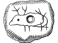 CVLZ3709.jpg