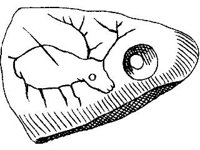 CVLZ3708.jpg