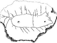 CVLZ3705.jpg