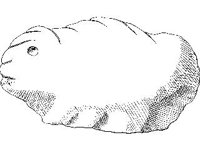 CVLZ3704.jpg