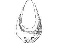 CVLZ3702.jpg