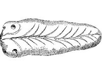 CVLZ3697.jpg