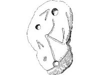 CVLZ3694.jpg