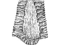 CVLZ3660.jpg