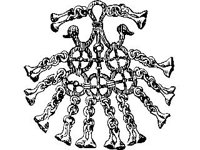 CVLZ3655.jpg
