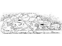 CVLZ3641.jpg