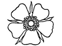 PLNT0053.jpg