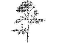 PLNT0048.jpg
