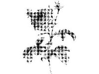 PLNT0046.jpg