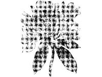 PLNT0029.jpg