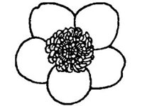 PLNT0023.jpg