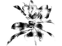 PLNT0022.jpg