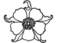 PLNT0008.jpg
