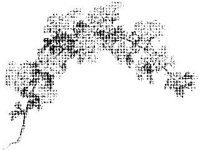 PLNT0002.jpg