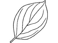PLNT0098.jpg