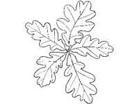 PLNT0092.jpg