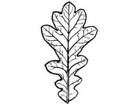 PLNT0089.jpg
