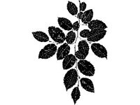 PLNT0077.jpg