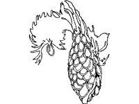 PLNT0175.jpg