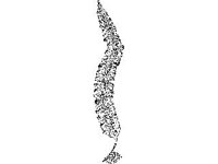 PLNT0163.jpg