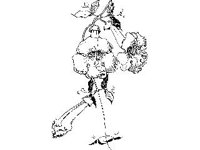 PLNT0115.jpg