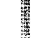 PLNT0299.jpg