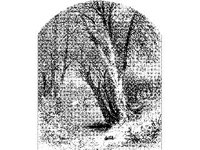 PLNT0296.jpg