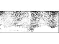 PLNT0294.jpg