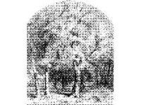 PLNT0292.jpg