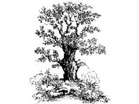 PLNT0280.jpg