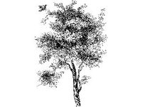 PLNT0279.jpg