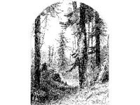 PLNT0275.jpg